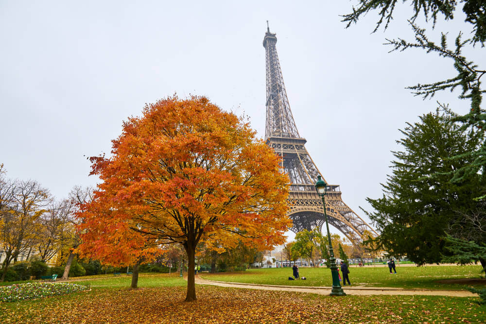 Borba protiv klimatskih promena – Pariz dobija 170.000 novih stabala da bi imao bolju klimu u gradu