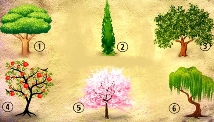 Evo šta to govori o nama – koje stablo biste posadili u svom dvorištu?