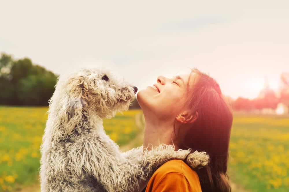 Evo zašto psi toliko vole ljude – jedna rasa bi ipak mogla da se snađe i bez brige vlasnika