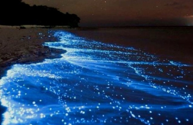 Prirodni fenomen u na ostrvu u Indijskom okeanu – plaža koja svetli noću ostavlja bez daha!