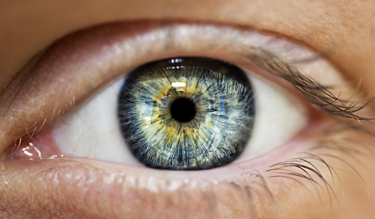 Pet pitanja o mrežnjači oka
