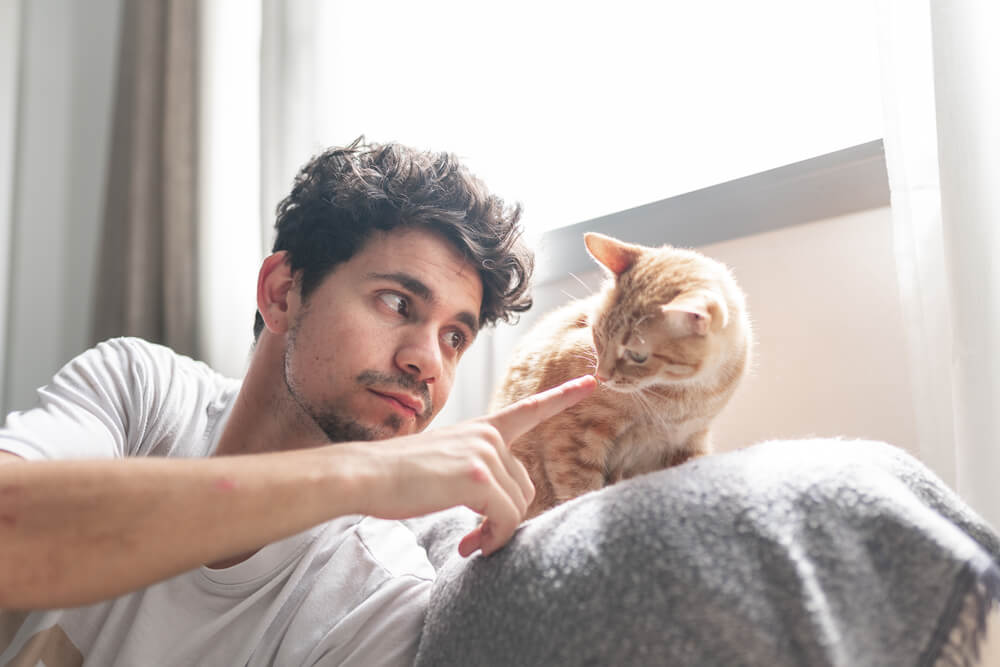 Retki su – muškarac koji voli mačke mogao bi da bude savršen partner