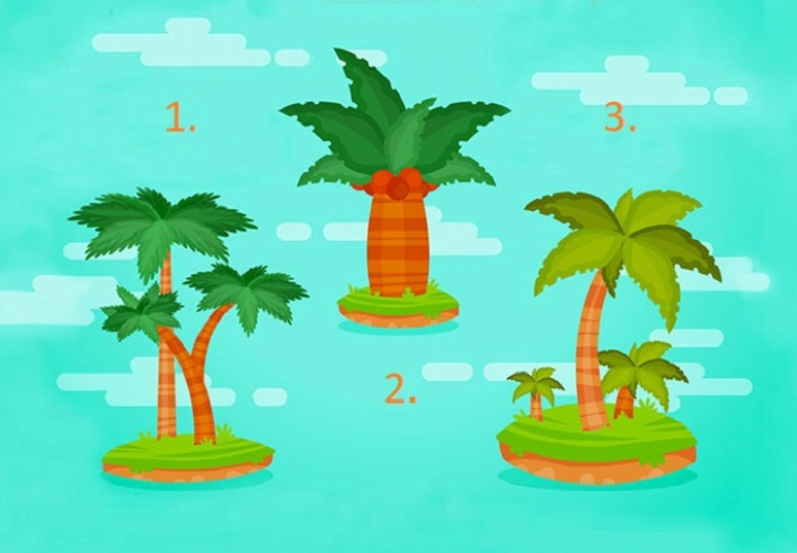 Test ličnosti – odaberite palmu i saznajte šta vas čeka ovog leta!